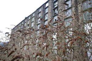 delph mills december 2010 image 16 sm.jpg